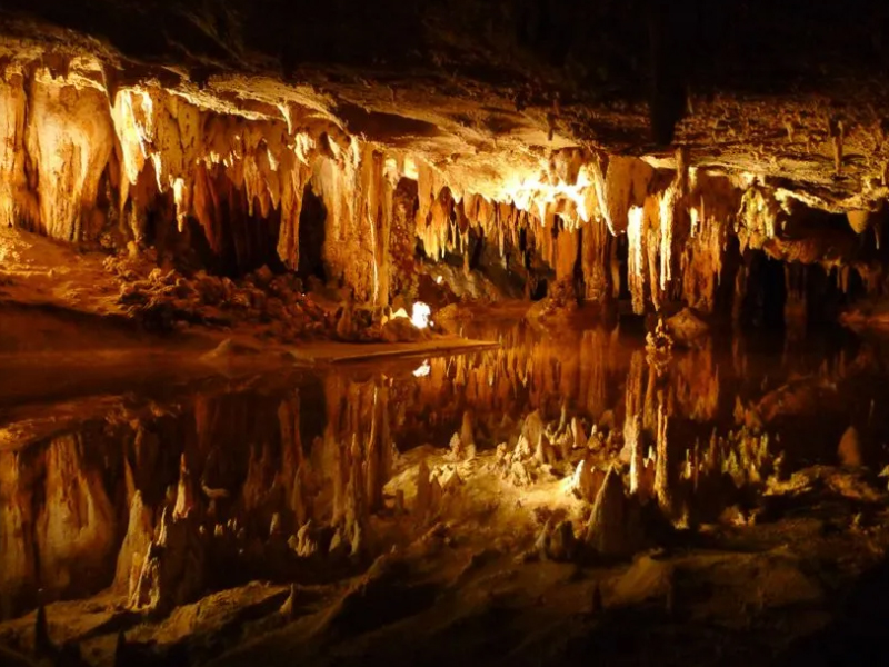 必发888(唯一)官方网站