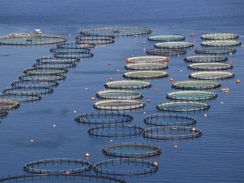 必发888(唯一)官方网站